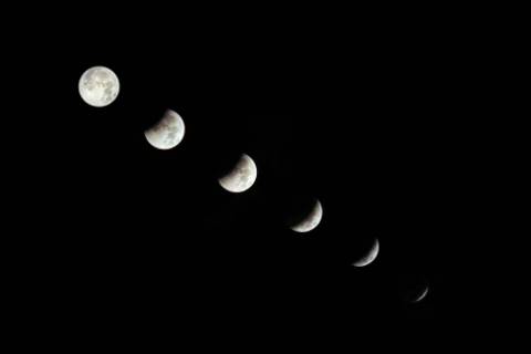 Full moon and wildlife crashes research thumbnail