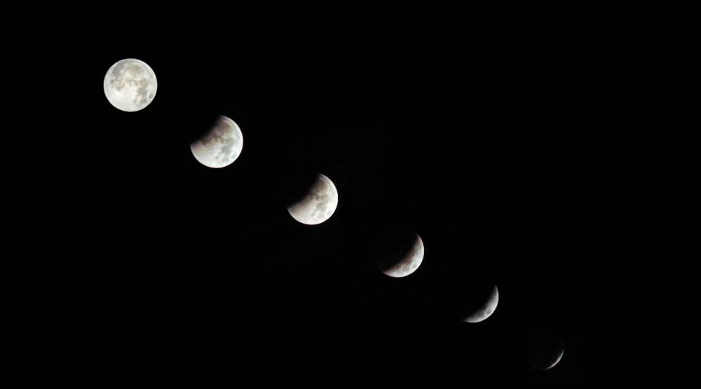 Full moon and wildlife-vehicle collisions research in Texas